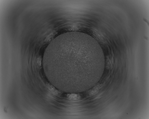 X0000092320230200709141419