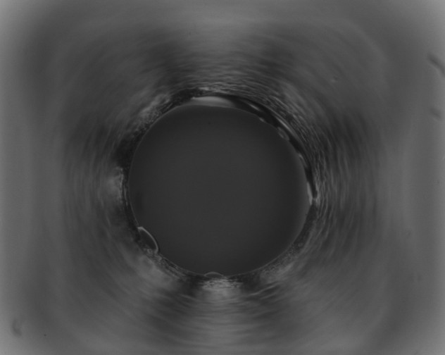 X0000092320231200709141419