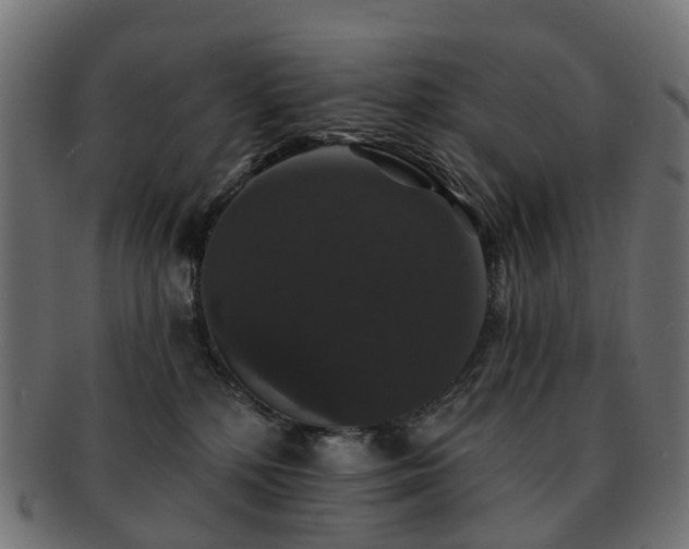 X0000092320232200709141419