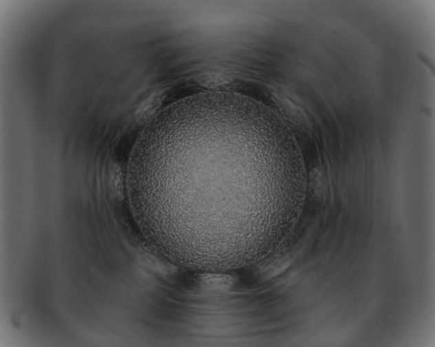 X0000092320234200709141419