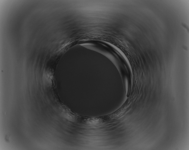 X0000092320235200709141419