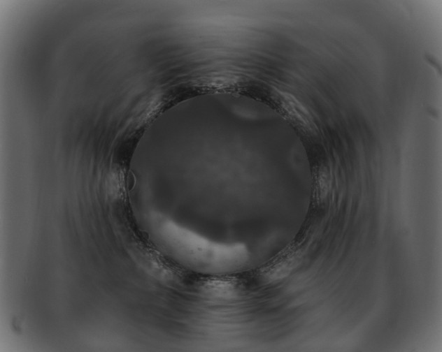 X0000092320236200709141419