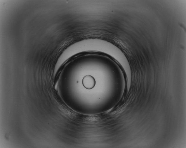 X0000092320237200709141419