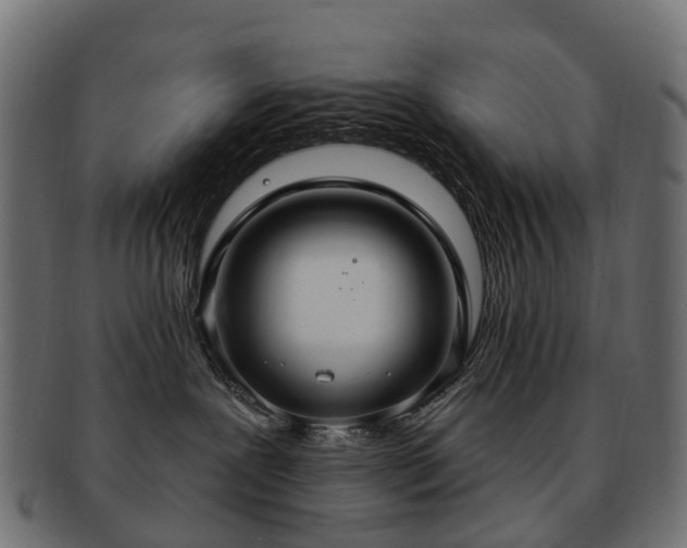 X0000092320239200709141419