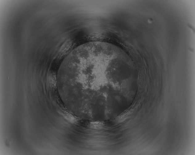 X0000092320240200709141419