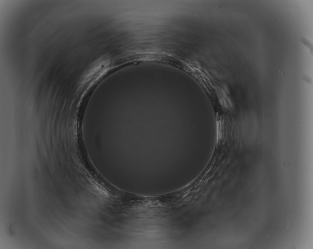 X0000092320243200709141418