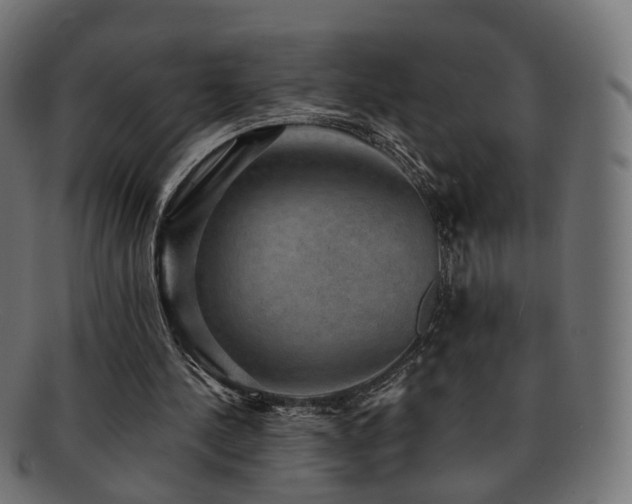 X0000092320244200709141418