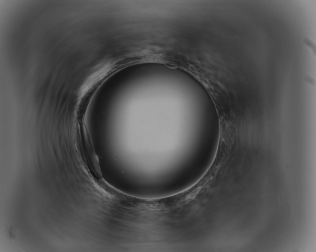 X0000092320245200709141418