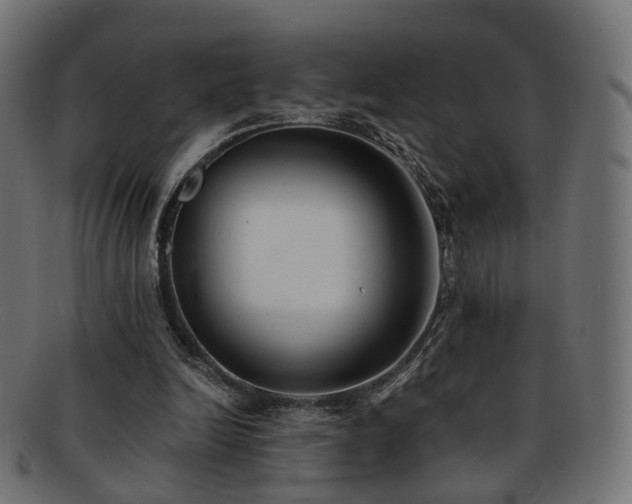 X0000092320246200709141418