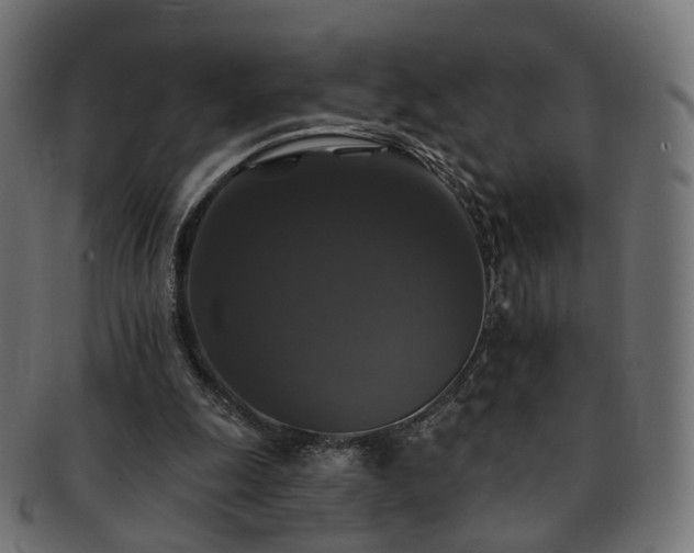 X0000092320247200709141418