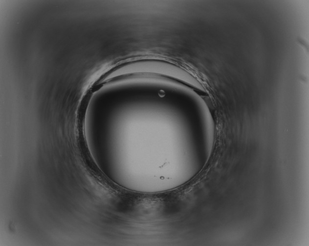 X0000092320248200709141418