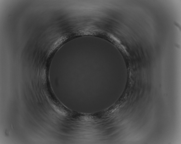 X0000092320250200709141418