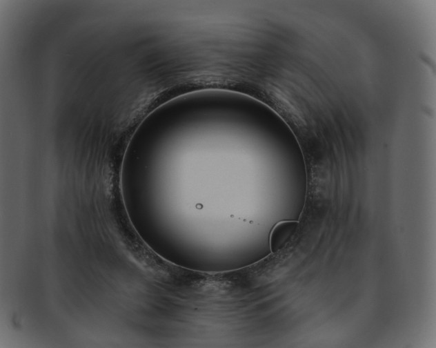 X0000092320255200709141418