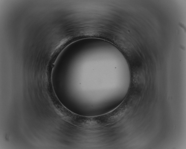X0000092320256200709141418