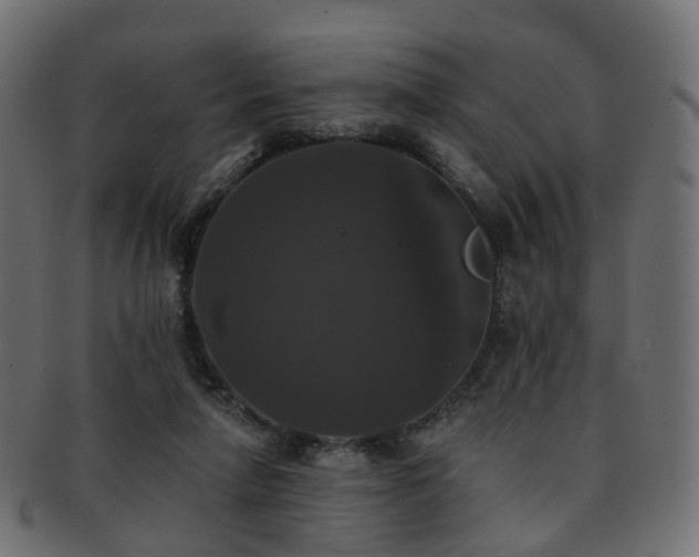 X0000092320258200709141418