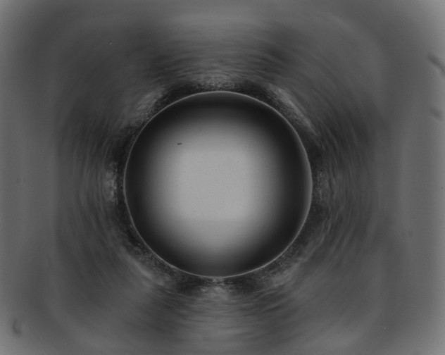 X0000092320259200709141418