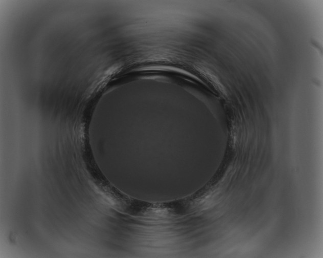 X0000092320260200709141418