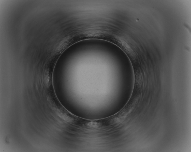 X0000092320261200709141418