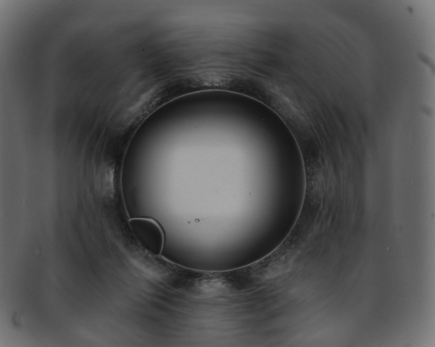 X0000092320262200709141418