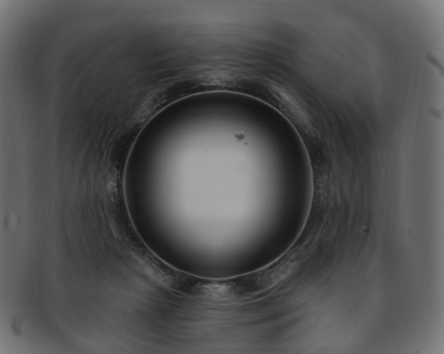 X0000092320265200709141418