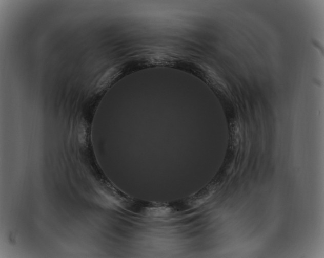 X0000092320266200709141418