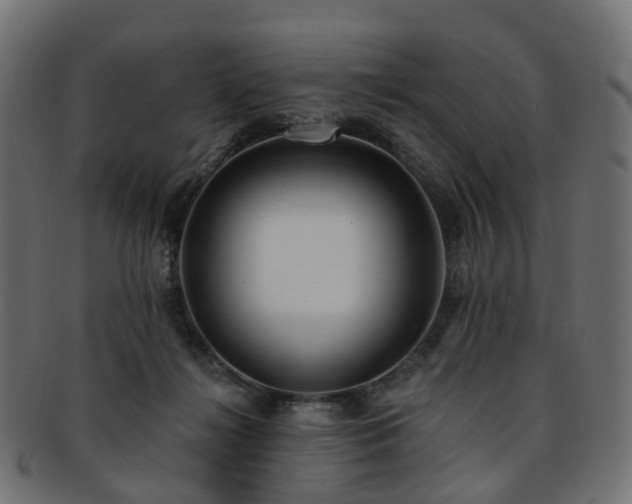 X0000092320268200709141418