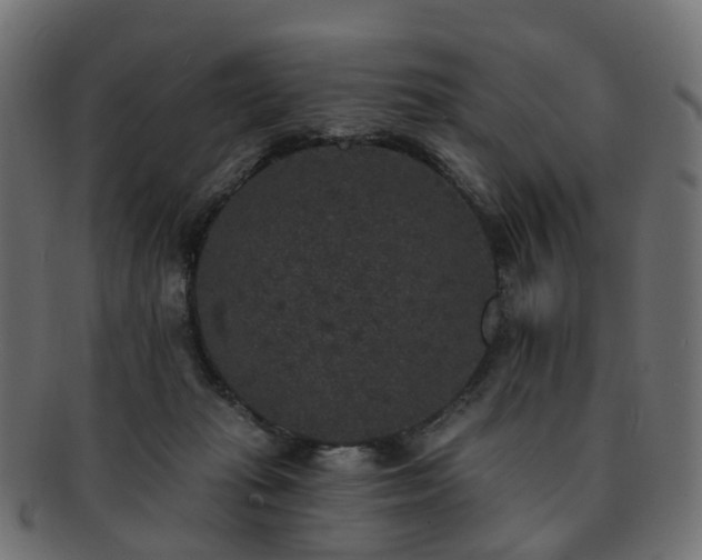 X0000092320269200709141418