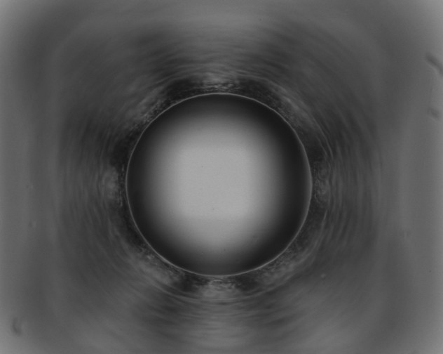 X0000092320270200709141418