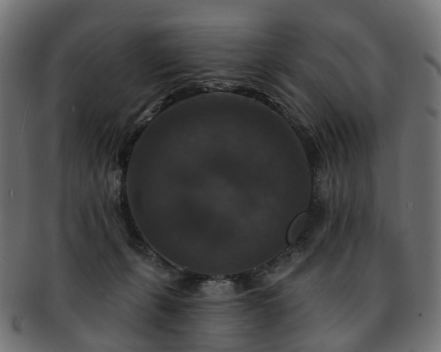 X0000092320271200709141418