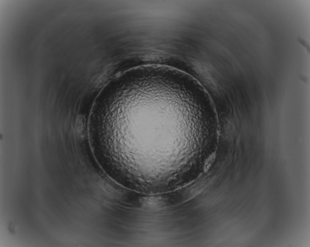 X0000092320273200709141418