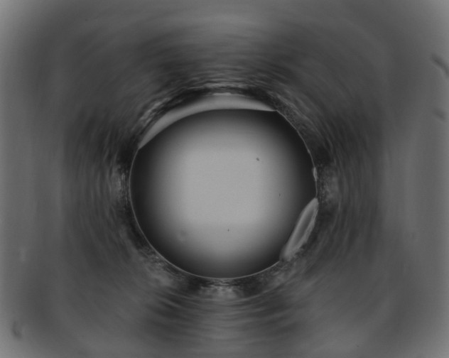 X0000092320276200709141419