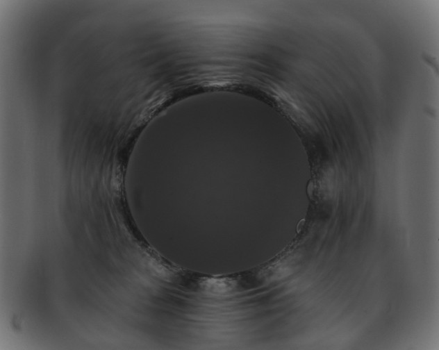 X0000092320277200709141419