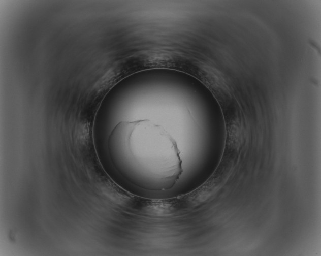 X0000092320278200709141419