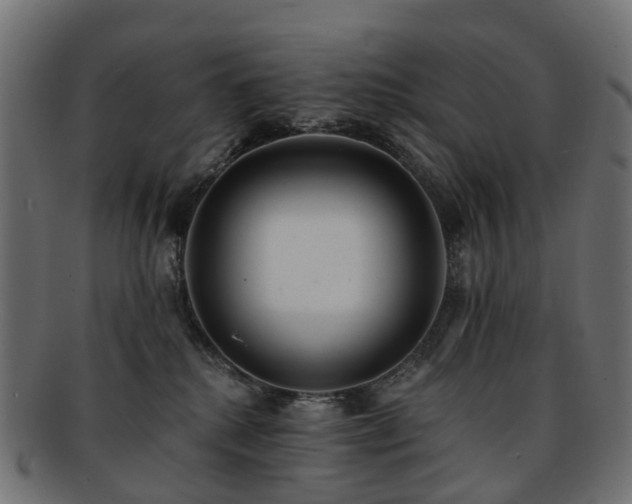 X0000092320280200709141419