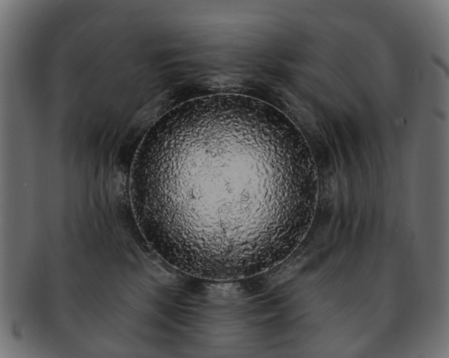 X0000092320281200709141419