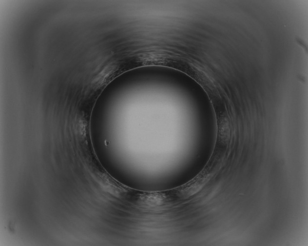 X0000092320282200709141419