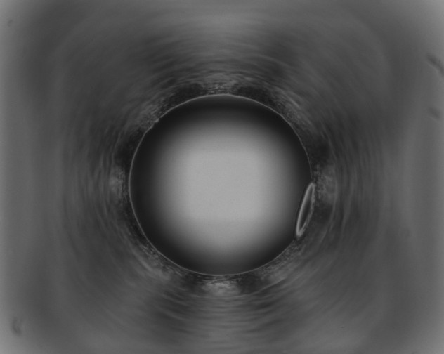 X0000092320283200709141419