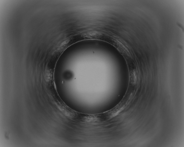 X0000092320284200709141419