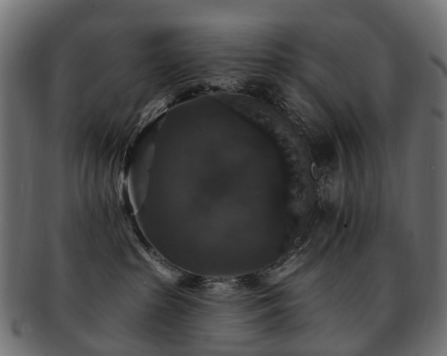 X0000092320285200709141419