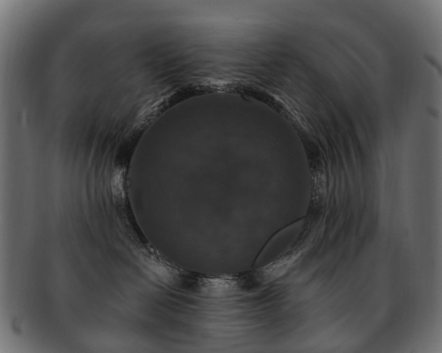 X0000092320286200709141419