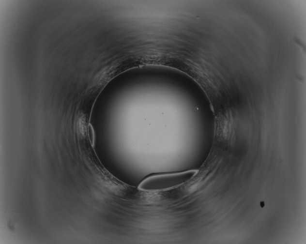 X0000092320287200709141419