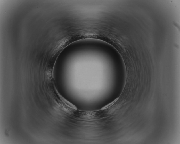 X0000092320288200709141419
