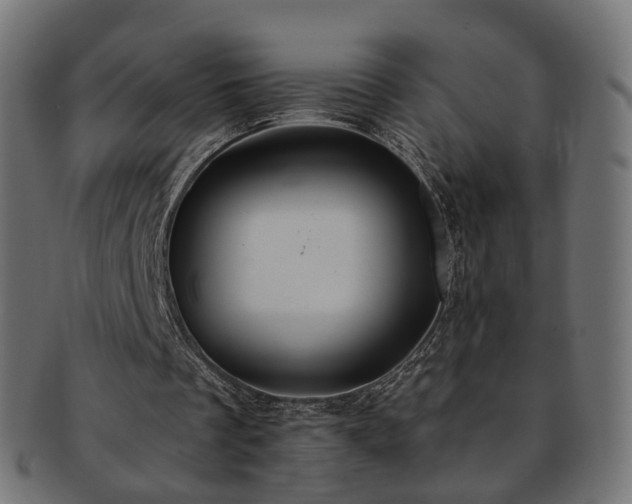 X0000092320289200709141418
