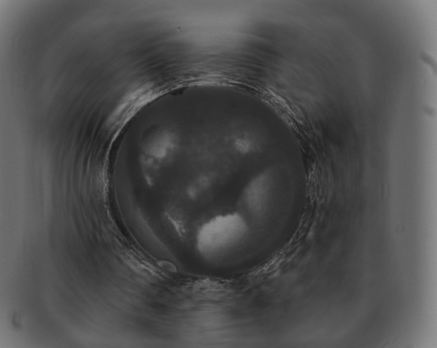X0000092320290200709141418