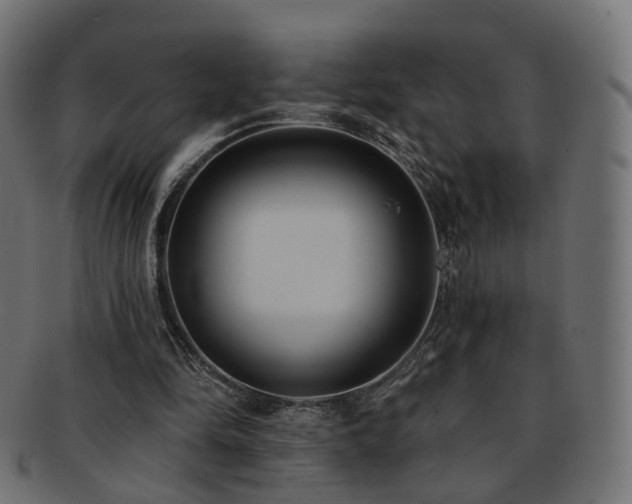 X0000092320294200709141418