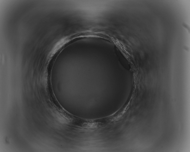X0000092320295200709141418