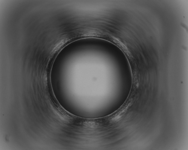 X0000092320298200709141418