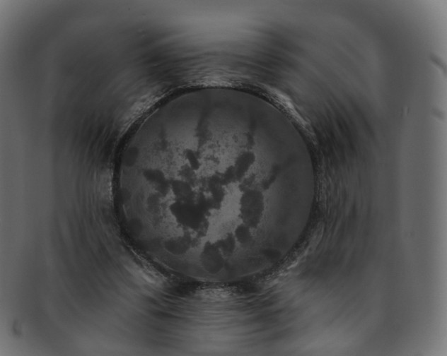 X0000092320299200709141418