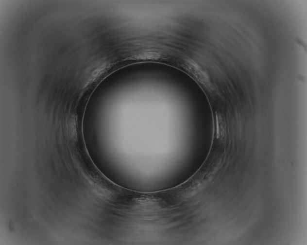X0000092320300200709141418