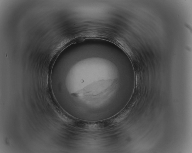 X0000092320301200709141418